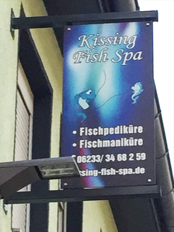 kissing-fish-spa-frankenthal-5